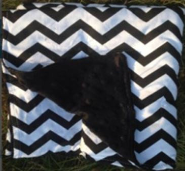 Black Chevron Black Minky Blanket